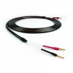 Chord EPIC Twin  - PRODAN-