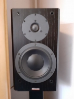 DYNAUDIO FOCUS 140 + STALCI 