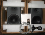 Genelec 8260A