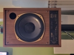 Tannoy SRM12-super red monitor